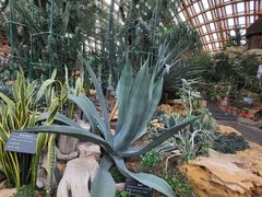 -吉庆街美食广场