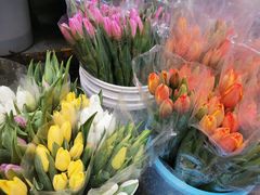 -循礼门鲜花花市(武汉循礼门店)