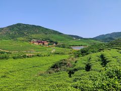 -嵛山岛