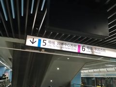 -大龙山(地铁站)