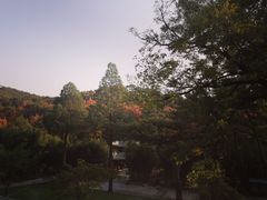 -红螺寺
