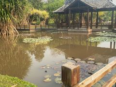 -中国科学院西双版纳热带植物园