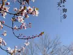 -蜀冈西峰生态公园