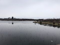 -上海海湾国家森林公园