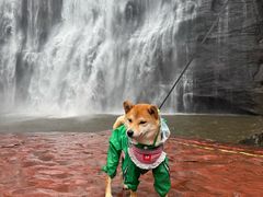 -赤水丹霞旅游区·大瀑布