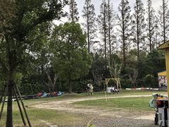 -前小桔亲子创意农场·草莓采摘·露营烧烤