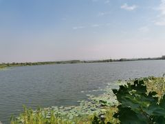 -南湖湿地公园
