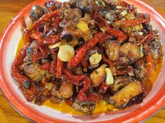 -柴窝堡22号辣子鸡·传承新疆菜