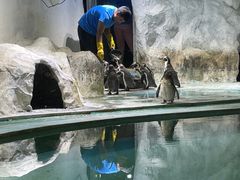 -北戴河圣蓝海洋公园