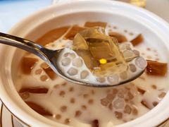 枇杷膏-梧州双钱龟苓膏(丽港航母店)