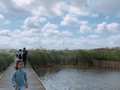 -盐城丹顶鹤湿地生态旅游区