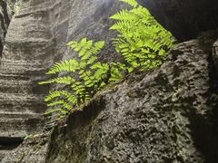 -梭布垭石林景区