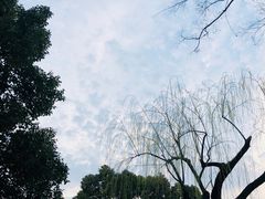 -西湖游船