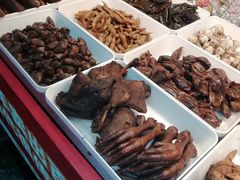 -张鸭子重庆特产卤味小吃(未来国际店)