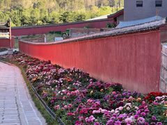 -五台山风景名胜区-罗睺寺