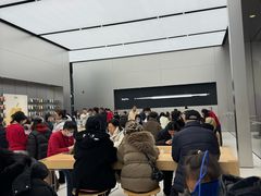-Apple零售店(成都太古里店)