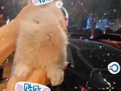 -大象厨房(重庆道店)