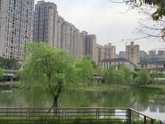 -沐仙湖湿地公园