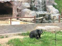 -清迈夜间动物园