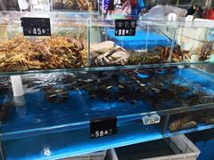 -四道口水产市场