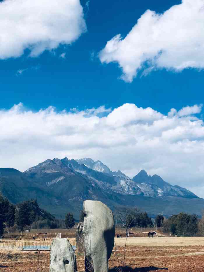 丽江孝尊木梨庄园-"7215饲料篮子里有胡萝卜和菜叶子,胡萝卜是.