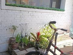 -老绥元烧麦·家常菜(桥华店)