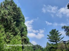 -四门塔风景区