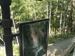 -藏龙百瀑风景区