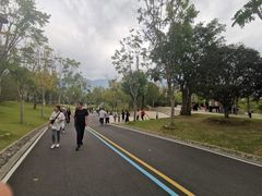 -牛岗山公园
