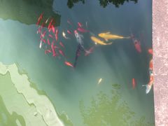 -上海虹桥宾馆味翠餐厅