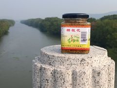 -苏州市吴中区光福窑上花果蜜饯厂