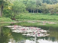 -白沙门生态公园