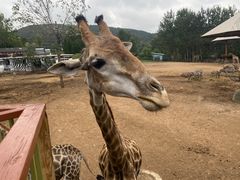 -大连森林动物园