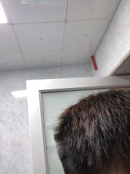 -零度造型
