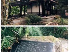 -望江楼公园