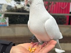 -南昌之星游乐场