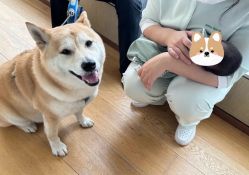 -baby bella小贝拉母婴护理中心(北京东隅店)