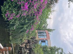 -九尺赵老四鲜鹅肠火锅