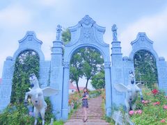 -大塘金香草谷