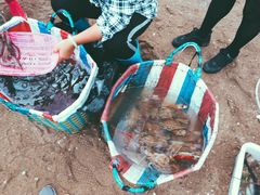 -北海市海滨公园