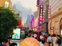 -真老大房鲜肉月饼(南京路步行街店)