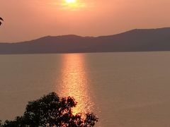 -上海市保健医疗中心