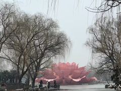 -洛阳市隋唐城遗址植物园