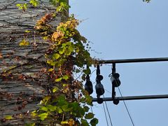 -广州永庆坊瞻云精选酒店