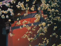 -钱王祠