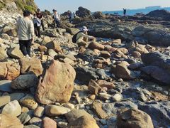 -西涌国际滨海旅游区