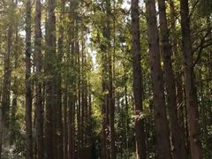 -同里国家湿地公园