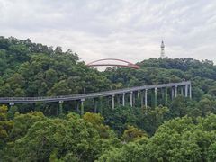 -金鸡山公园