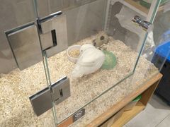 -狗道宠物(常熟印象城店)