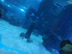 -石家庄海洋公园